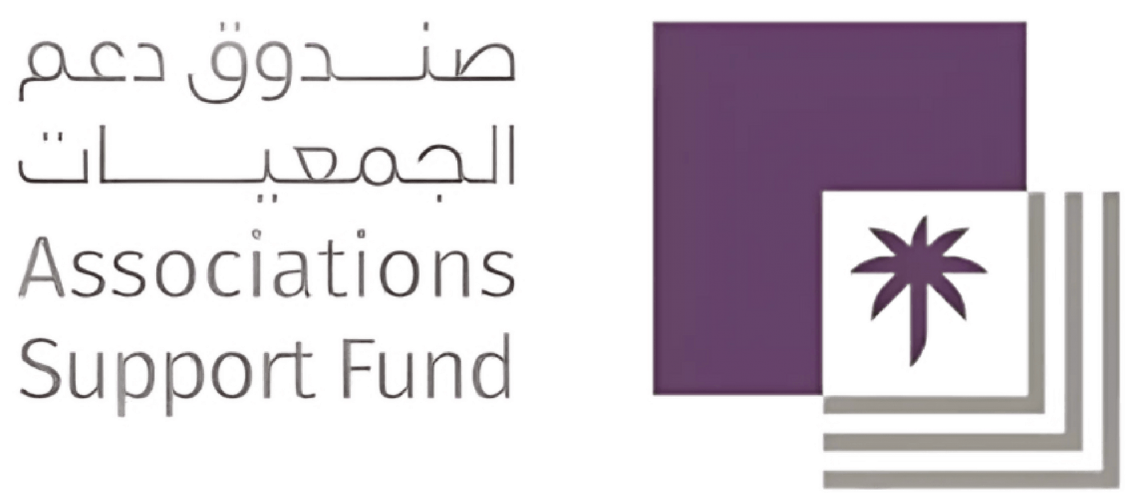 صندوق دعم الجمعيات